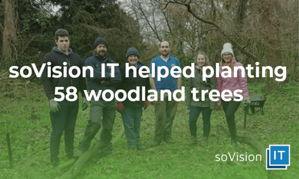soVision IT Helped Plant 58 Woodland Trees