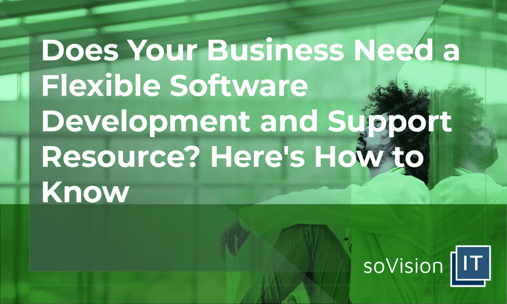 Does Your Business Need a Flexible Software Development Resource?